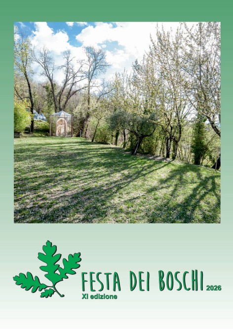 FestaBoschi