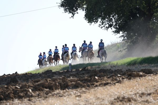 Foto endurance Trasimeno 1D8A5267 1