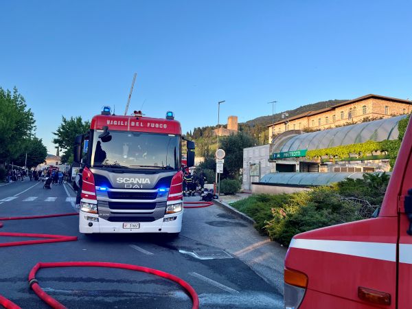 IncendioPark1