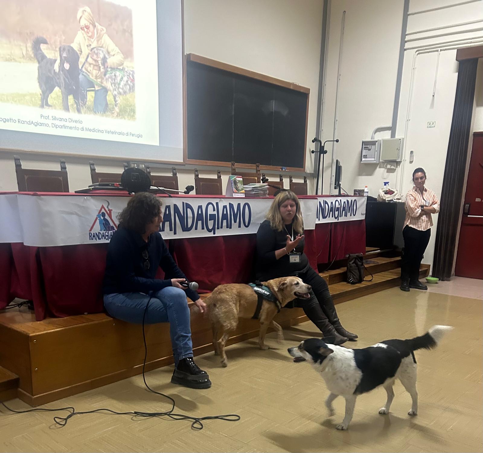 Randagiamo