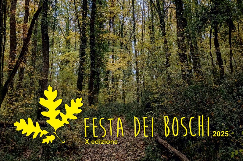 festa dei boschi 2025