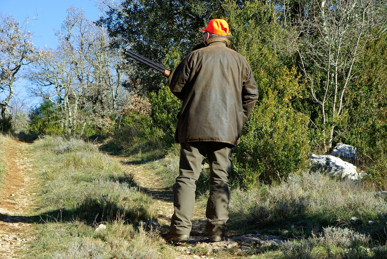 hunt 583086 1280