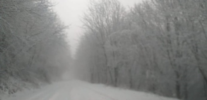 maltempo neve a colle bertone