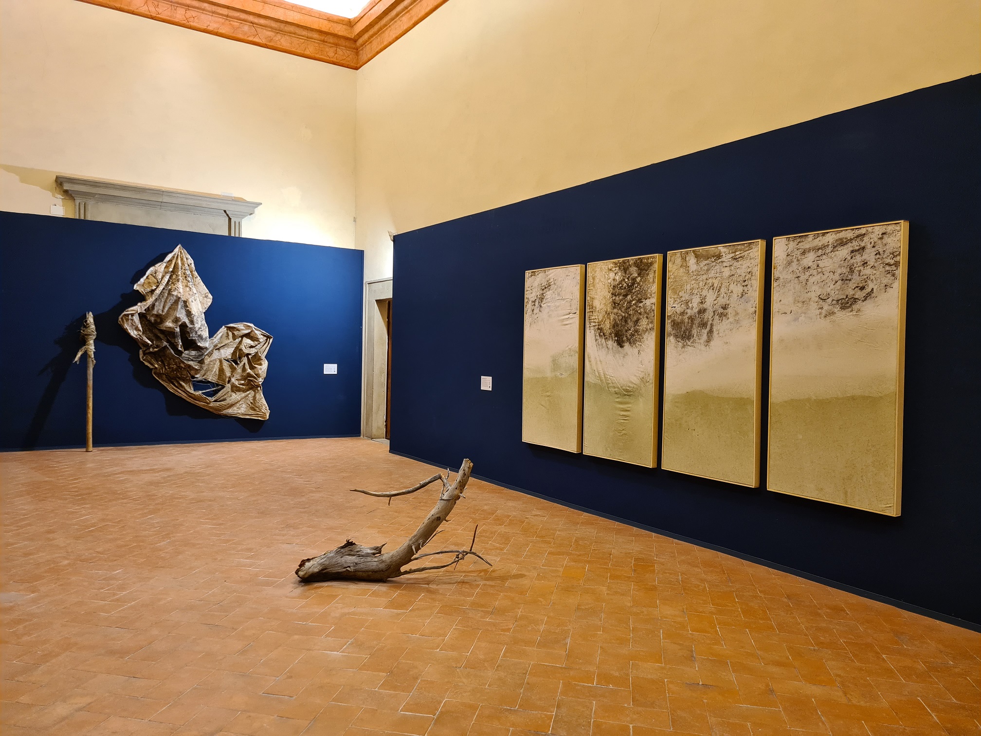 mostra6