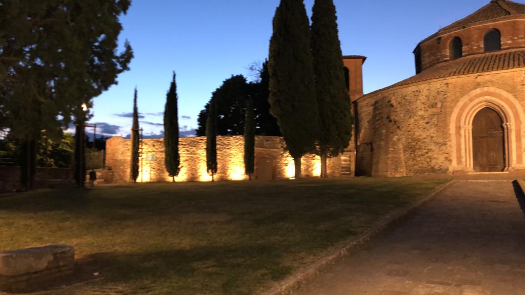 5 giugno wetree7