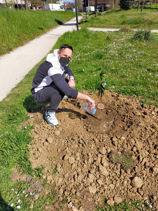 ALBERI prima annaffiata