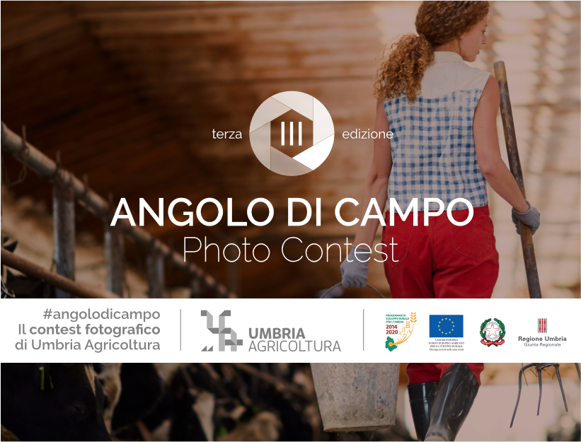 Angolo di Campo 2021