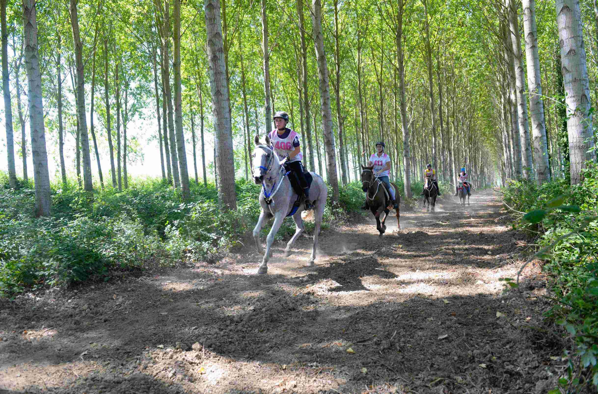 Foto endurance DSC 2915 low