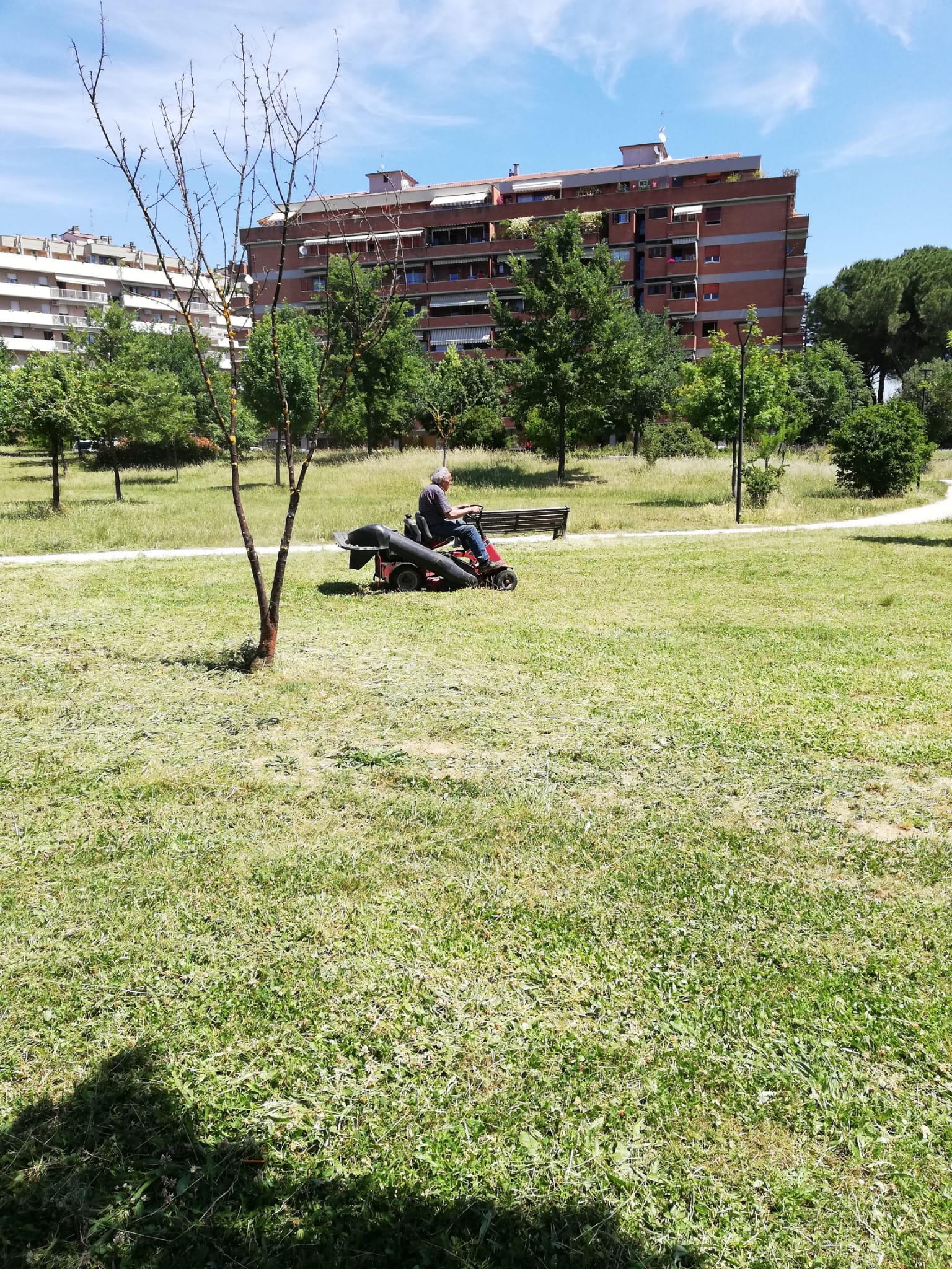 Parco pulitura per gioco delloca 6621