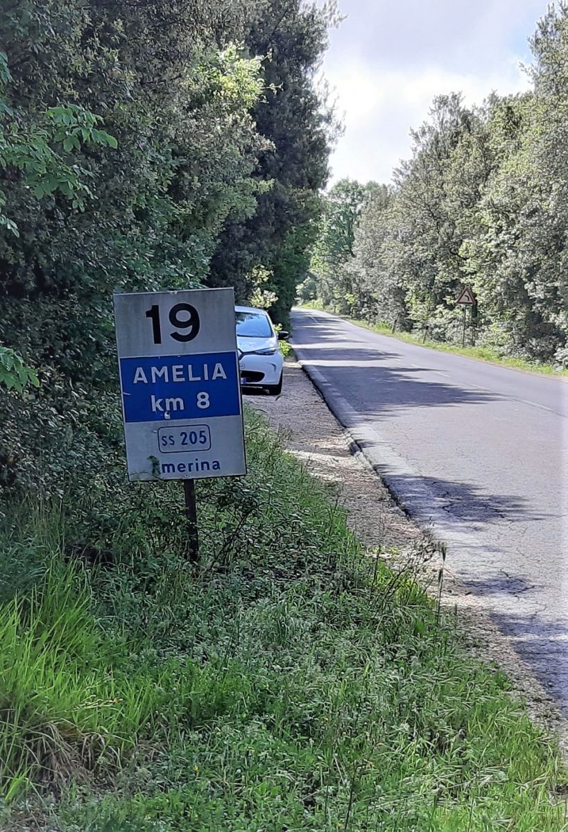 SR 205 Amerina1