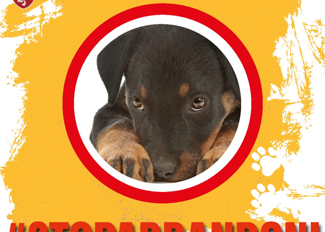 STOPABBANDONI1 1140x815
