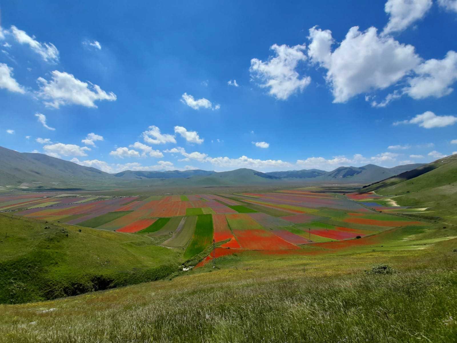 castelluccio