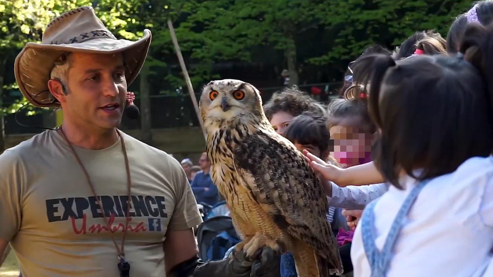falconeria a citta della domenica 2