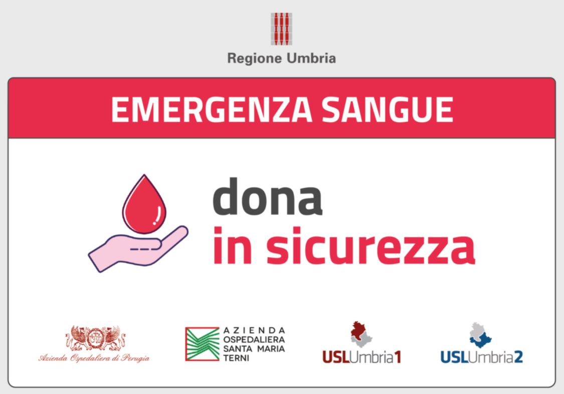 grafica donazione sangue