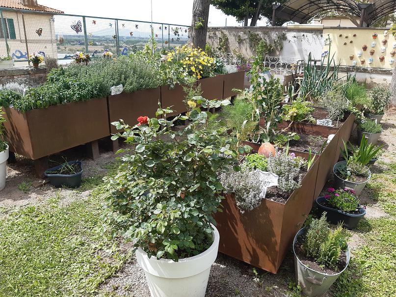 hortus