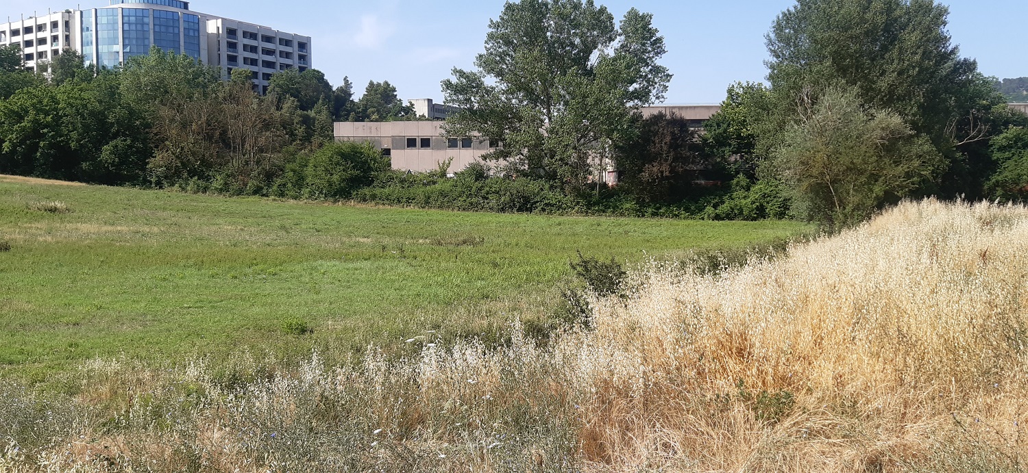 terreno per nuova scuola3