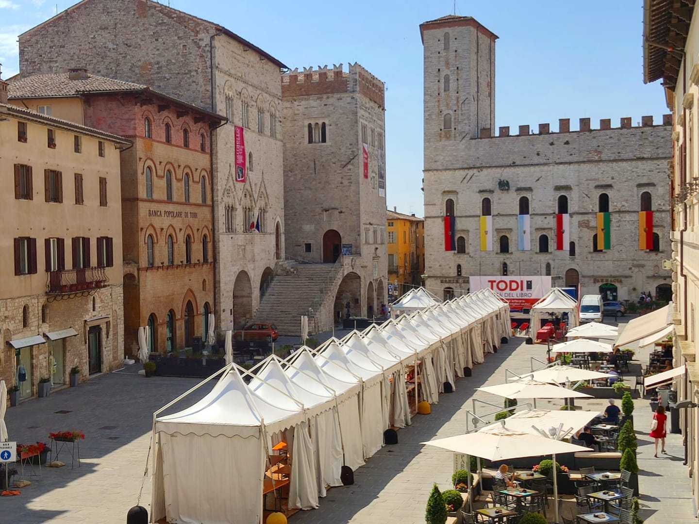 todi libro