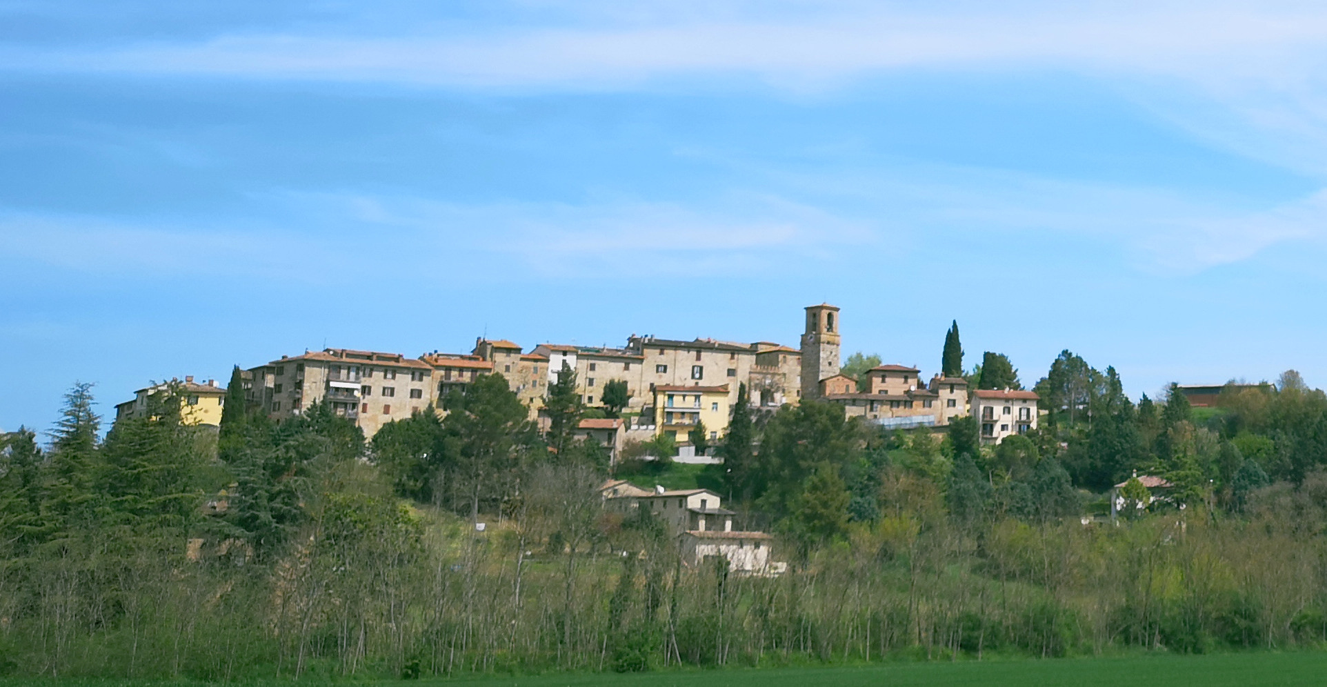veduta Morcella