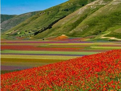 Castelluccio1