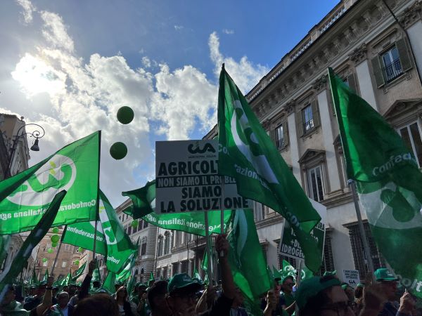 MANIFESTAZIONE ROMA 2