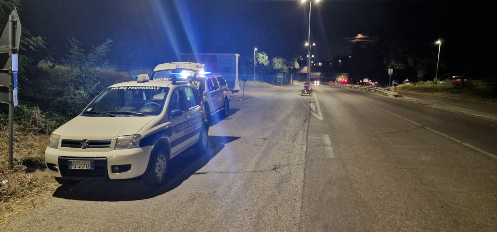 Prevenzione incidenti fauna selvatica Servizio notturno