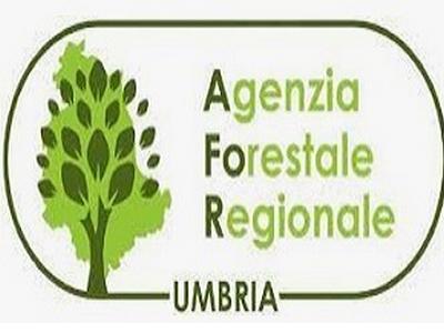 agenziaforestaleregionale