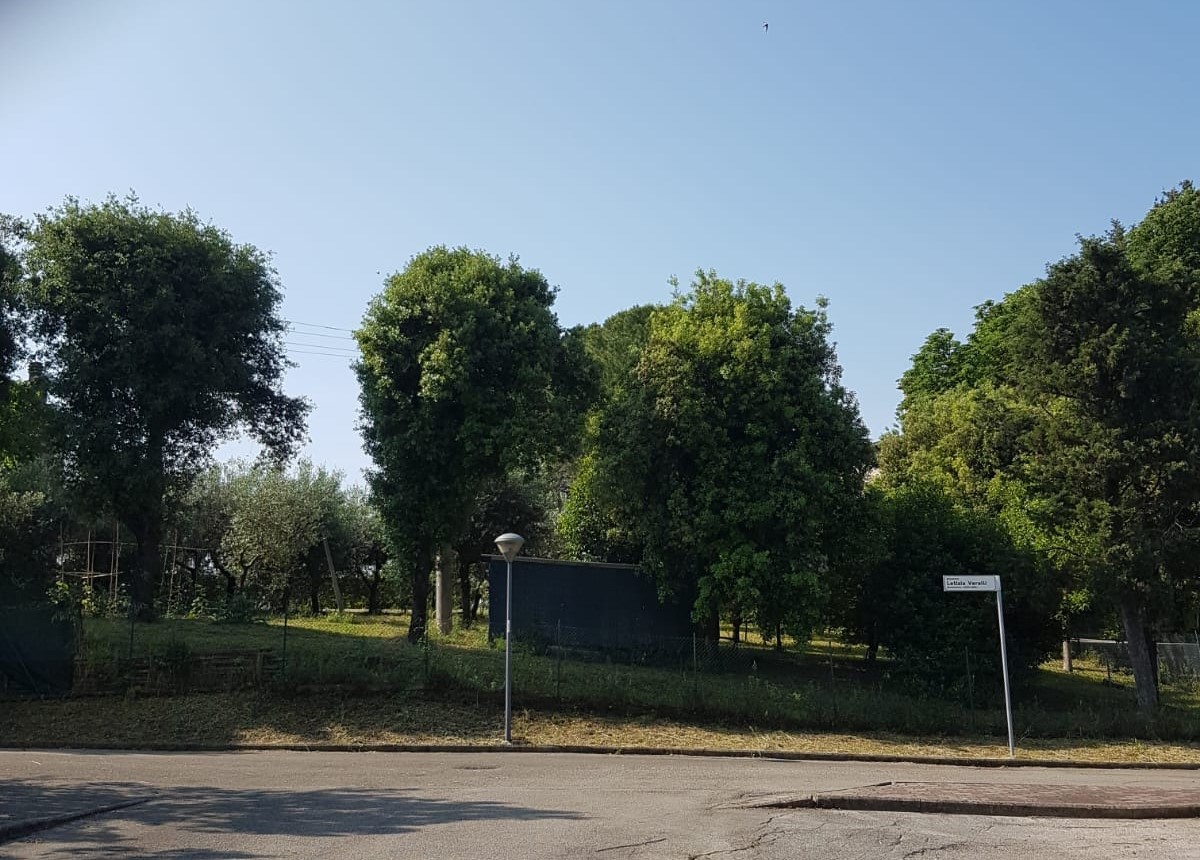 area frazione pantalla