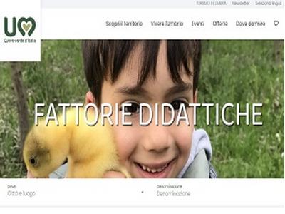 fattoria