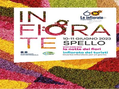 infiorate