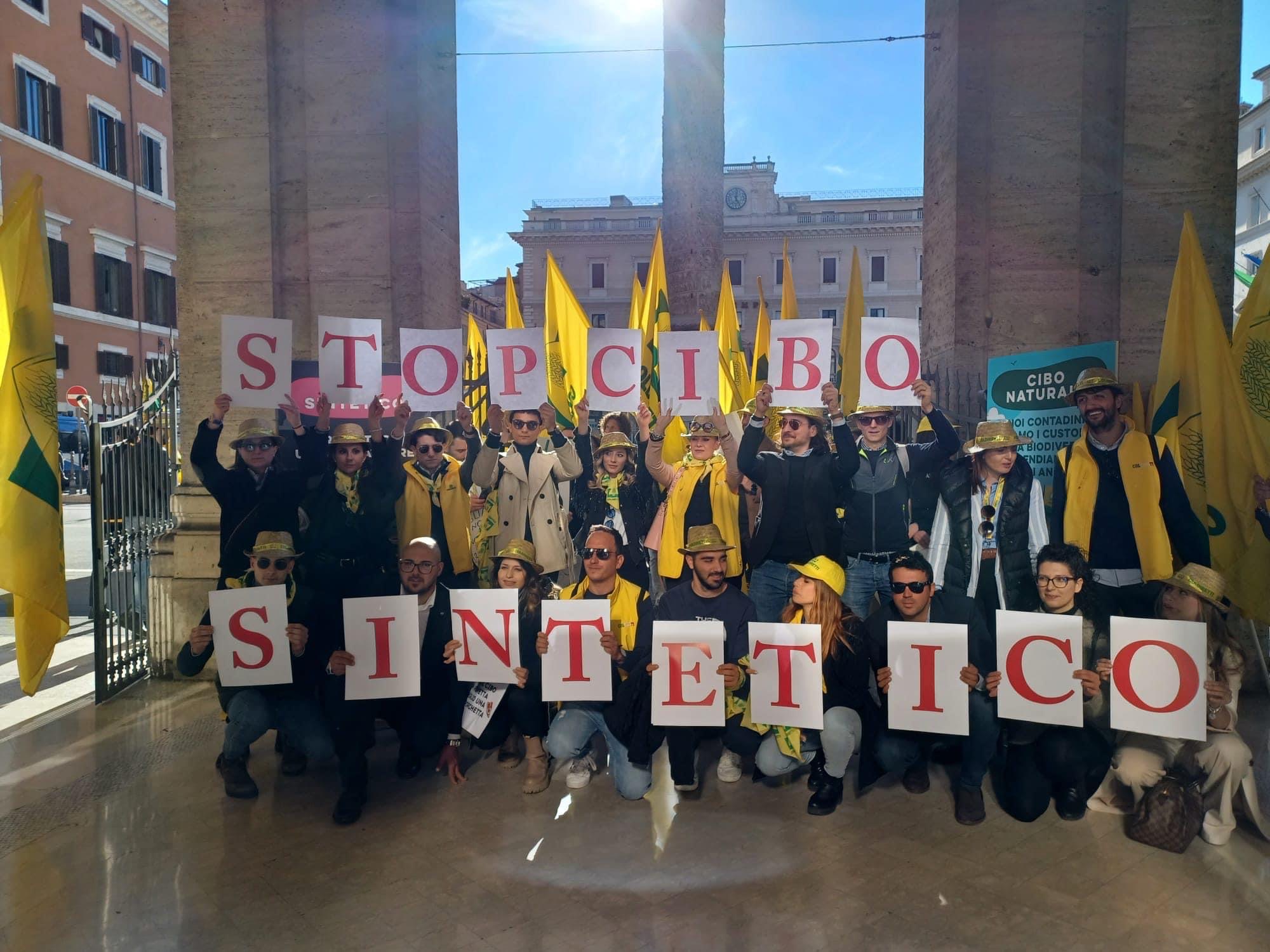 no cibo sintetico