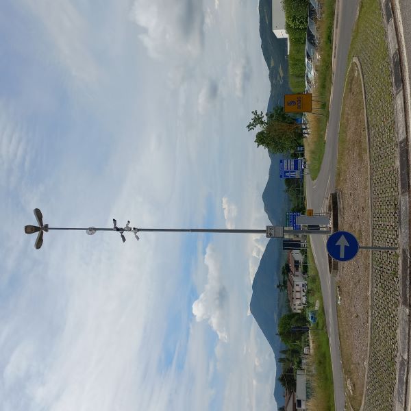 telecamere montone1