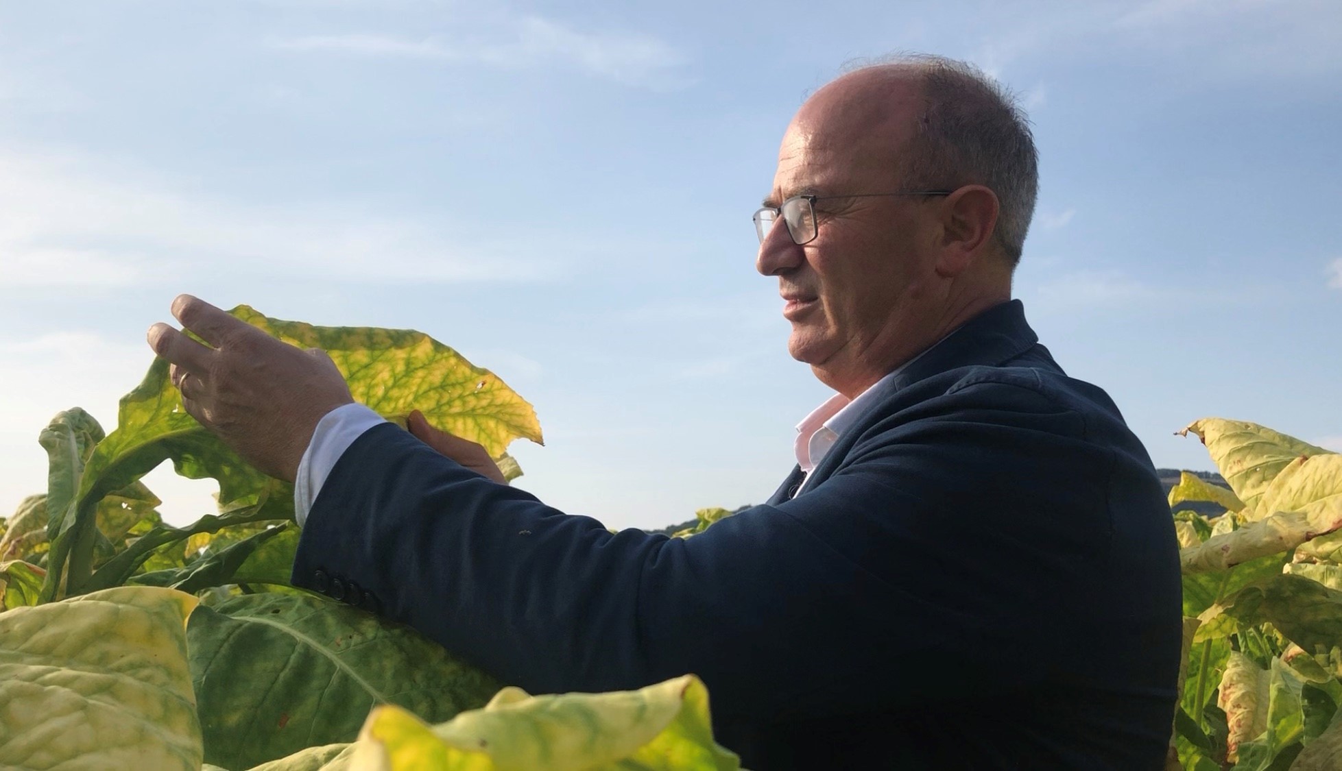 Cesare Trippella Head of Leaf EU Philip Morris Italia 1