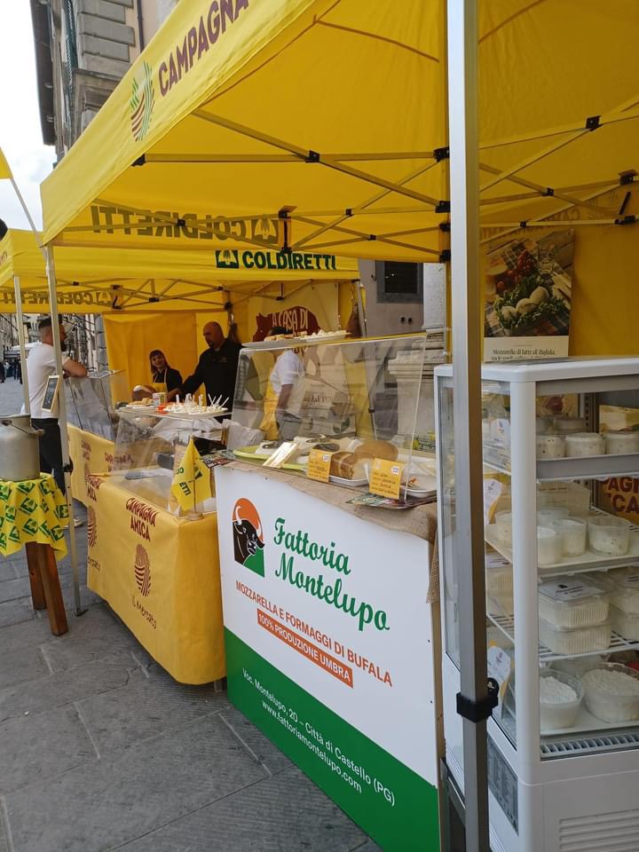 Mercato CA 1