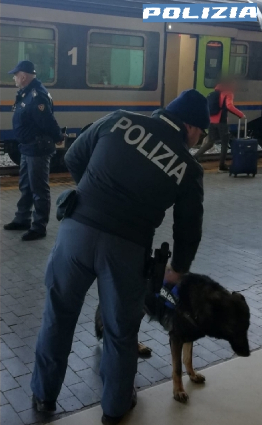 Polfer ok
