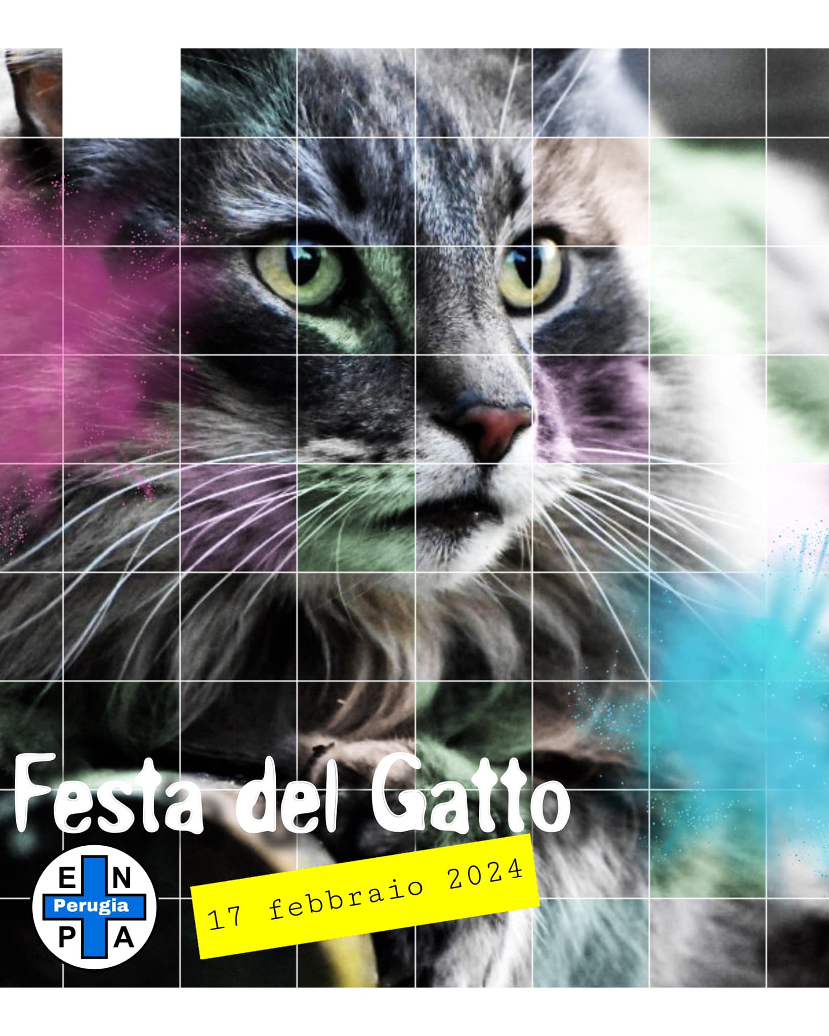 festa gatto enpa