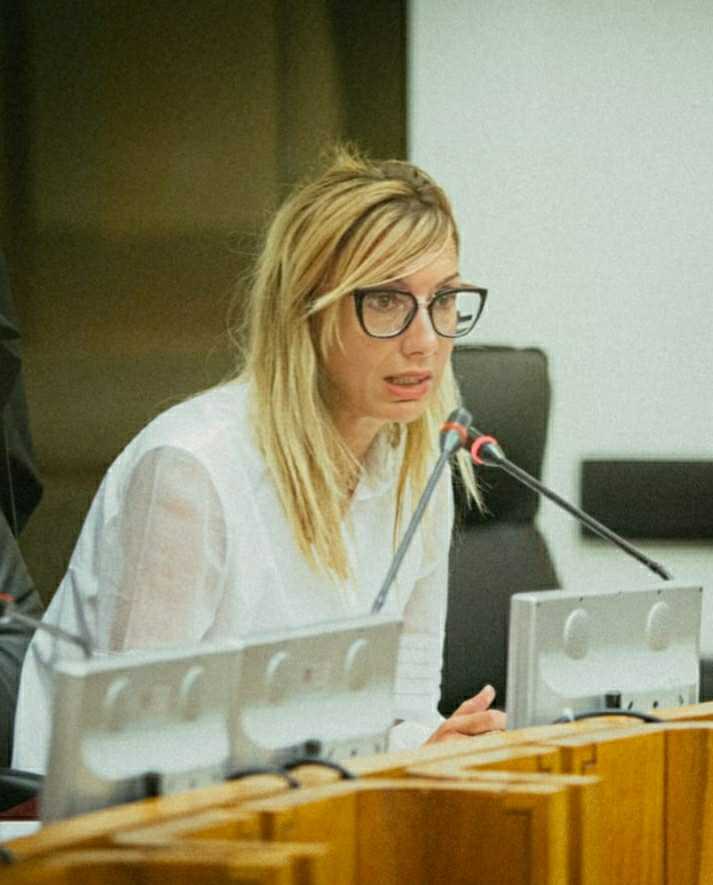 meloni ok6