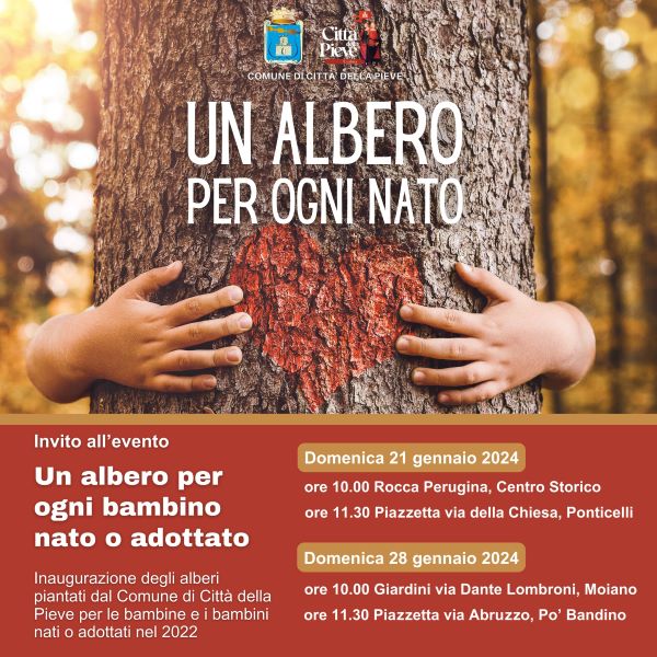 pieve 2