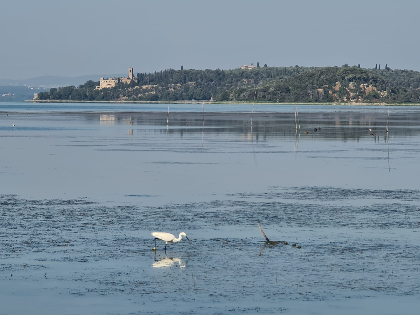 20220703 Trasimeno 1