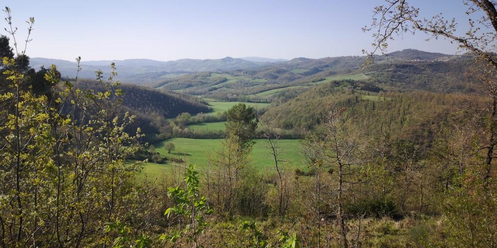 EPS paesaggio agro faunistico