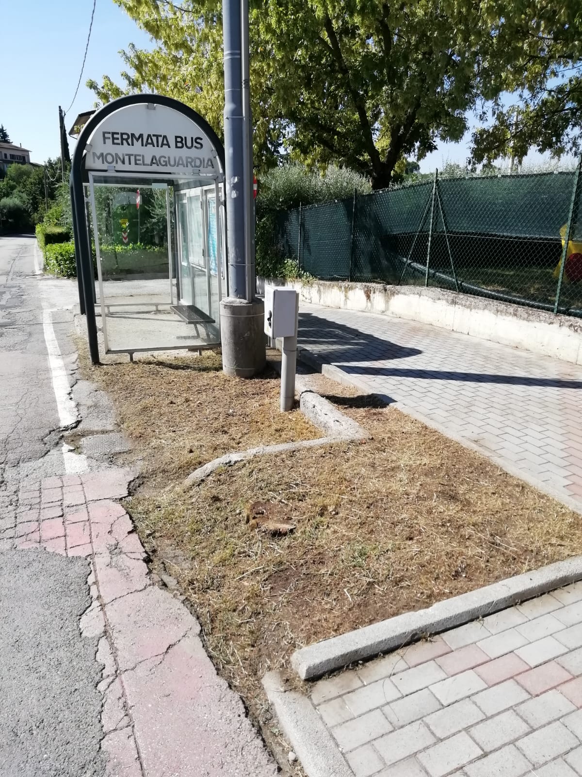 fermatabus