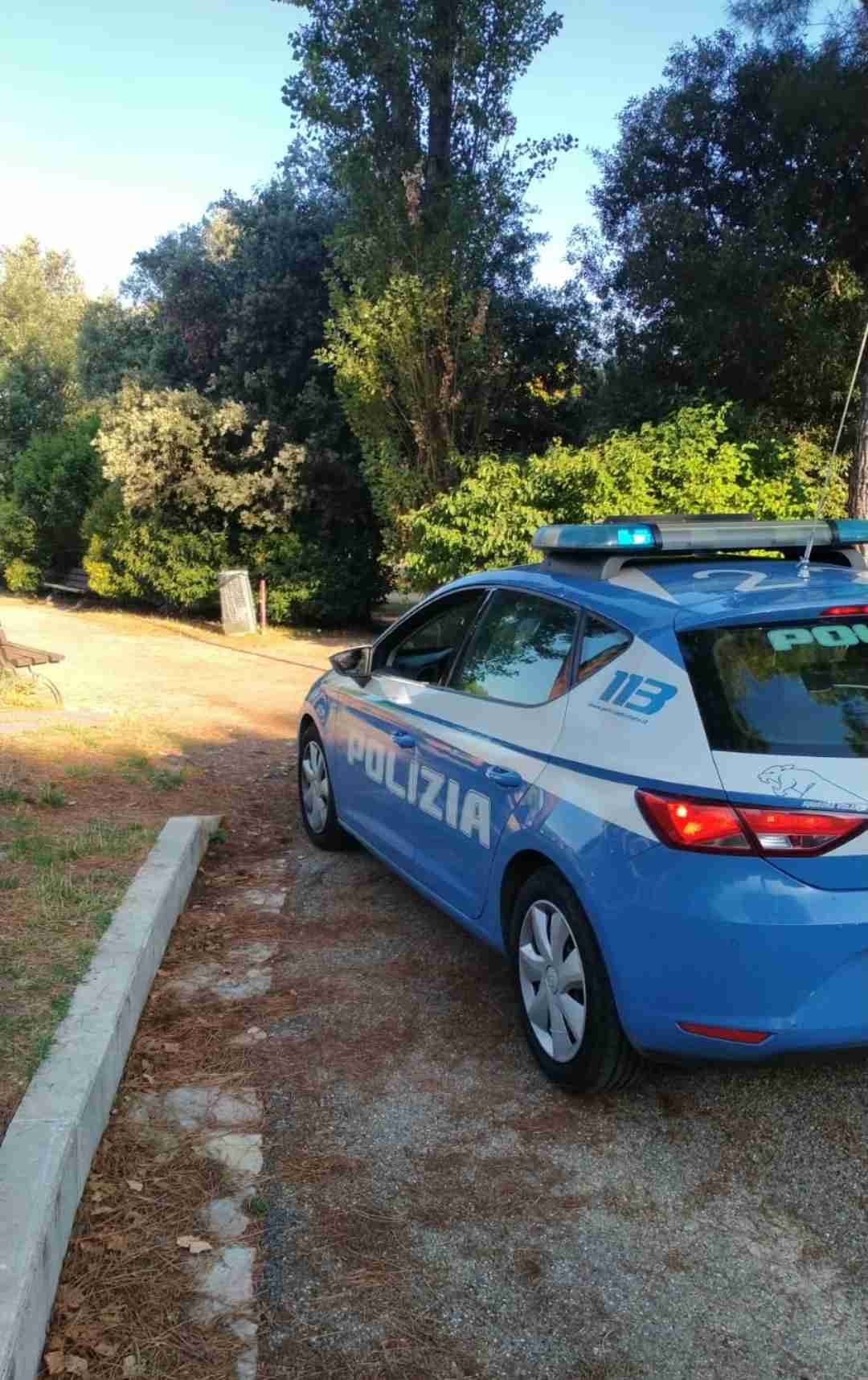 tf ferragosto