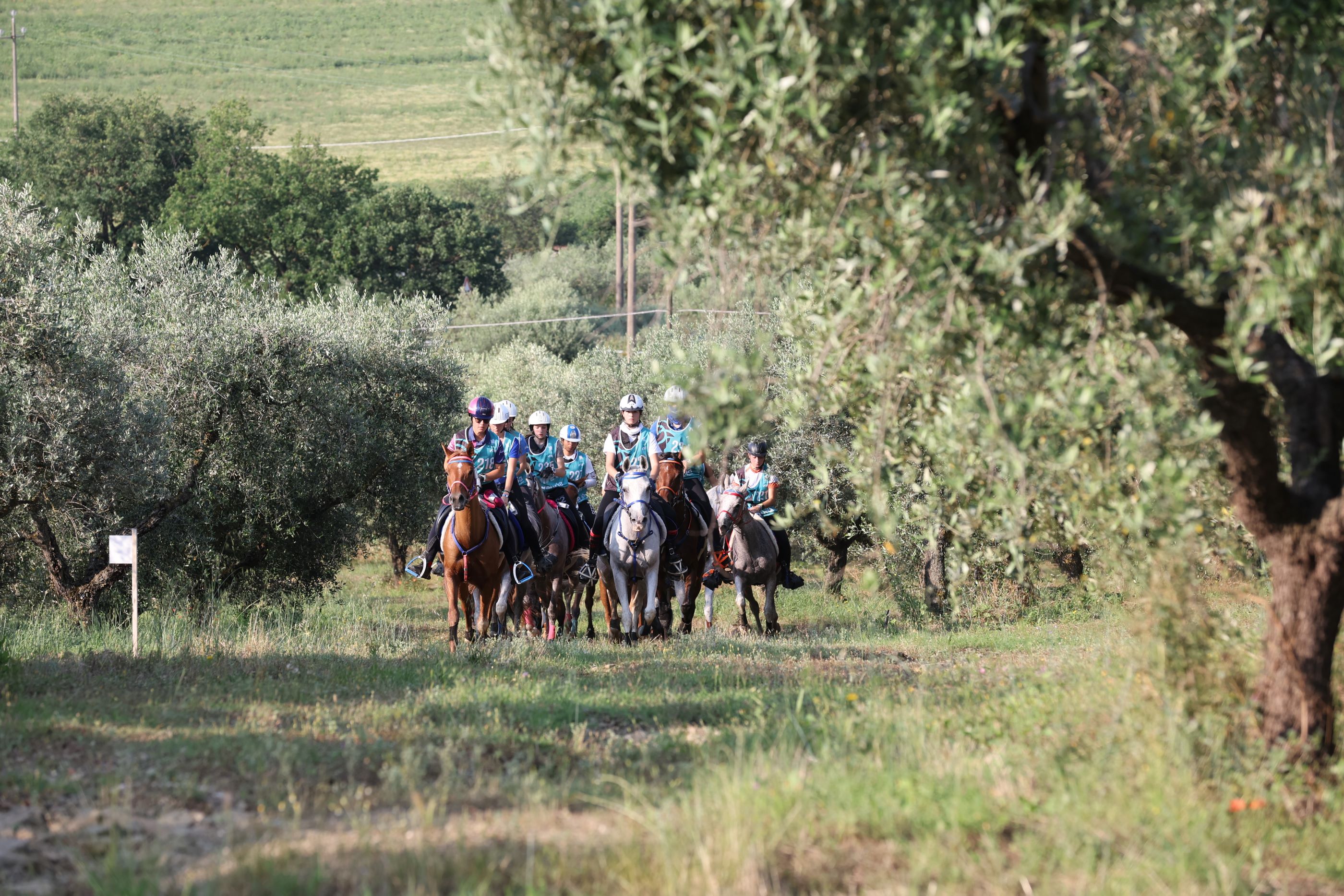 Foto castiglionedellago all 1 1