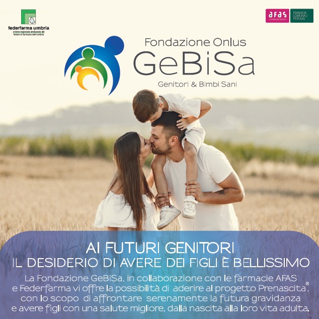 GeBiSa 2