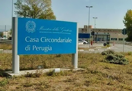 article 8