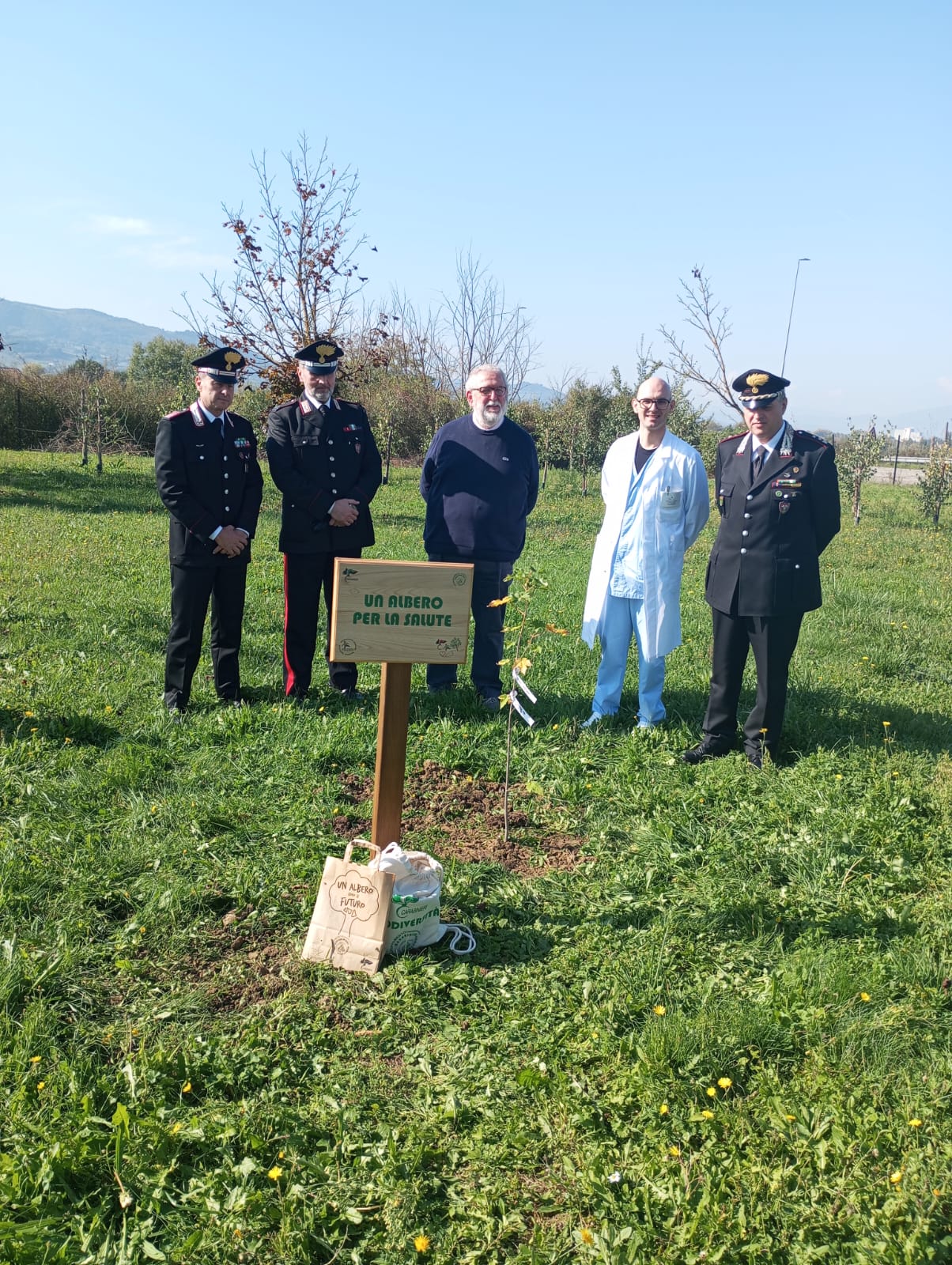 donazione albero2