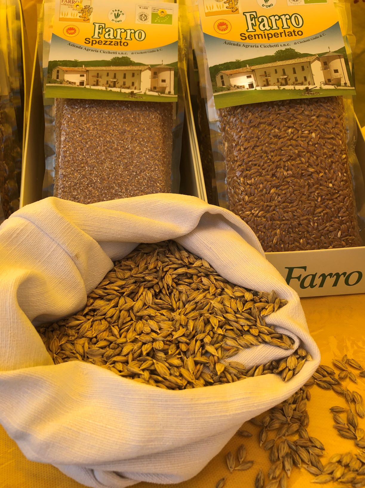 farro di Monteleone 