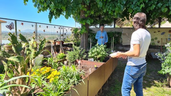 hortus5