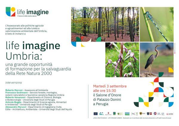 lifeimagne