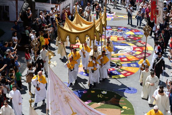 processione pomponi AND 9454