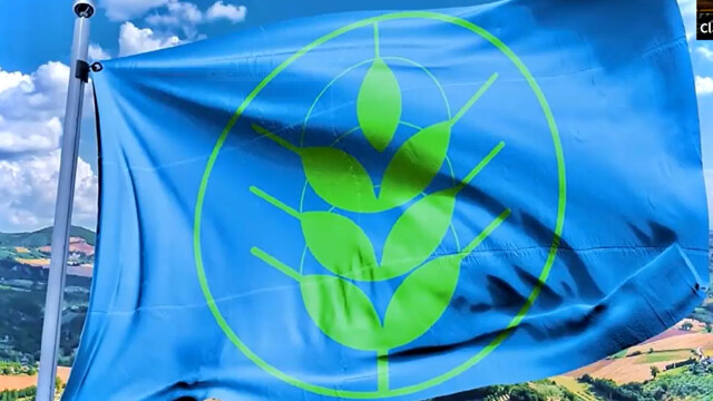 Bandiera spighe verdi 2021